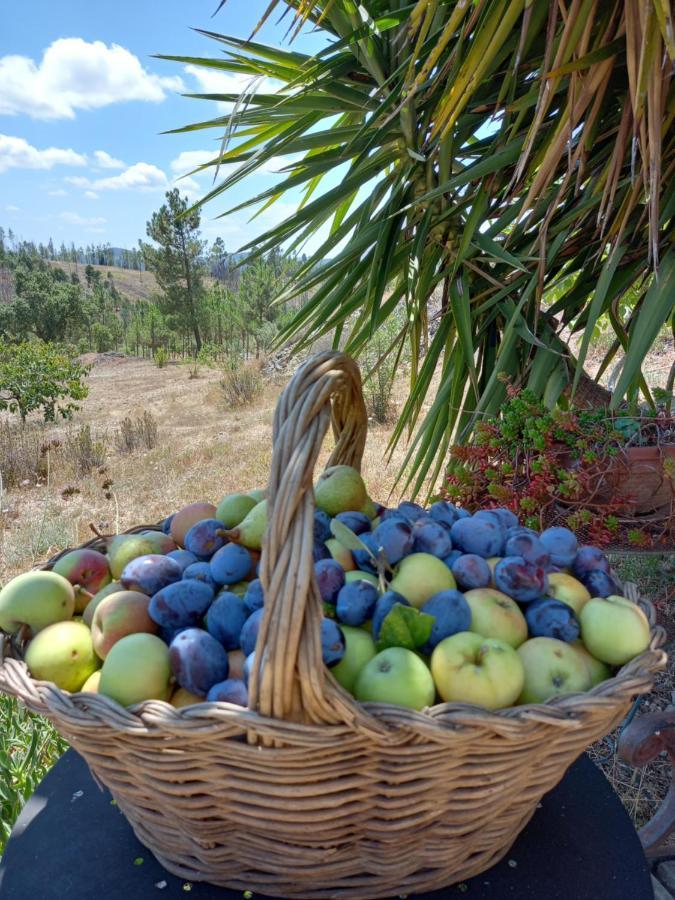 Vale De Garcia Al 5357 Villa Colos  Dış mekan fotoğraf