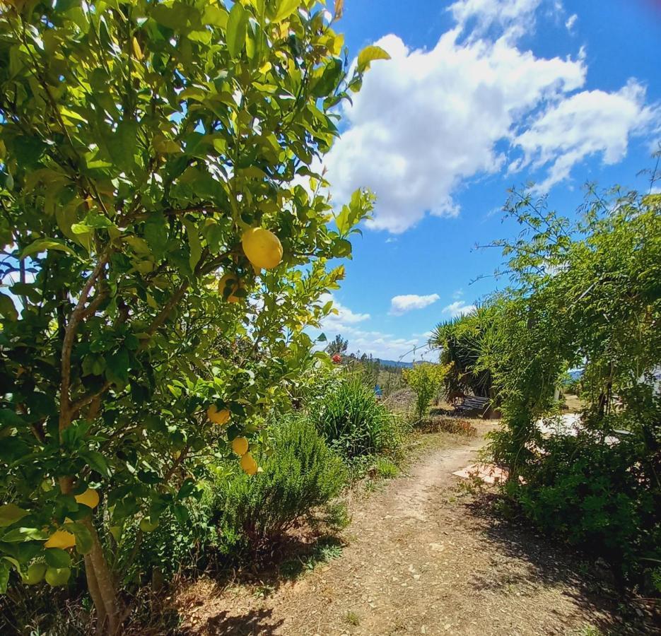 Vale De Garcia Al 5357 Villa Colos  Dış mekan fotoğraf